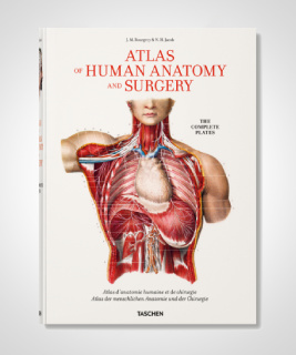 Bourgery. Atlas of Human Anatomy and Surgery