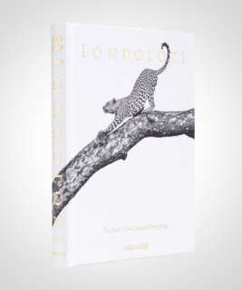 Londolozi: The Safari that Changed Everything